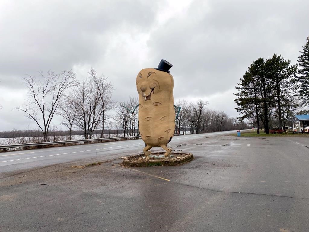 Daniel Boudreau has launched an online fundraising campaign to fix up this big potato-man statue in Maugerville, N.B., as seen in this handout photo received April 27, 2022. THE CANADIAN PRESS/HO-Markus Harvey **MANDATORY CREDIT**.