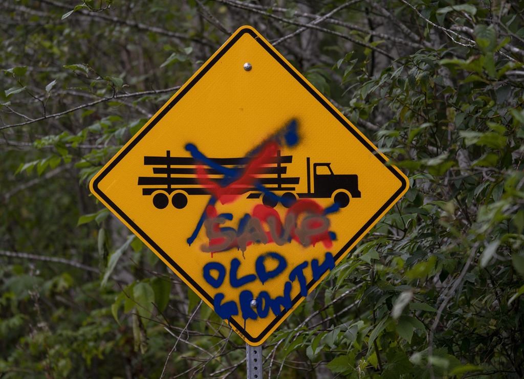 A defaced road sign of a logging truck is seen near the protest site of Fairy Creek on southern Vancouver Island on Oct. 4, 2021. 