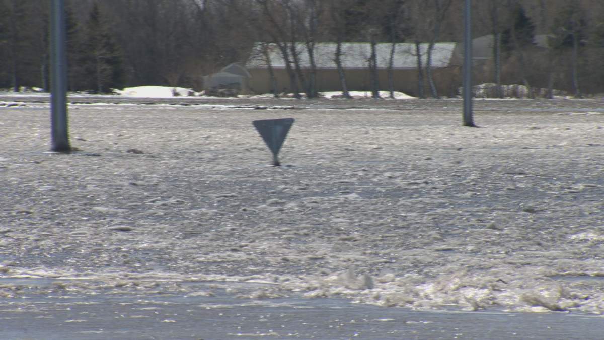 Mayor of Altona ‘cautiously optimistic’ as more rain forecast for Manitoba - image