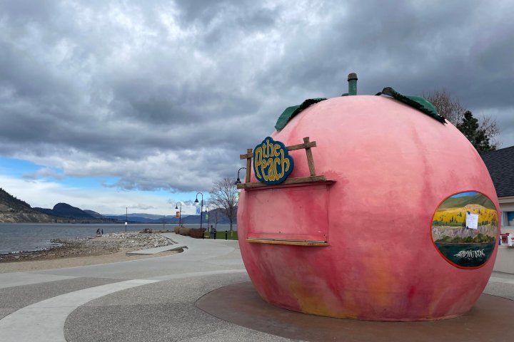 Announcement of new operator for Penticton, B.C. peach concession stand sparks uproar