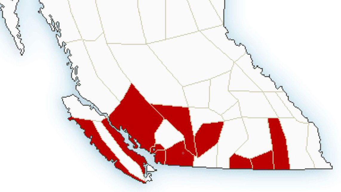 A map showing Environment Canada’s weather warnings for B.C. on April 3, 2022.