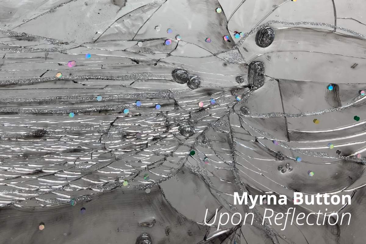 ‘Upon Reflection’ by Myrna Button at the Alternator Centre for Contemporary Art - image