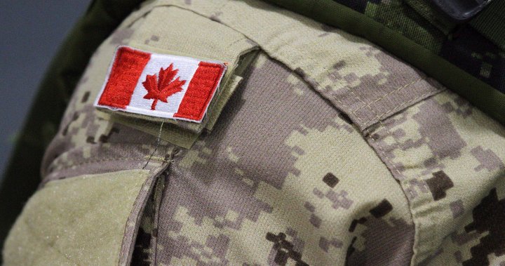 Canadian Armed Forces’ ‘compassionate posting’ process needs overhaul: watchdog