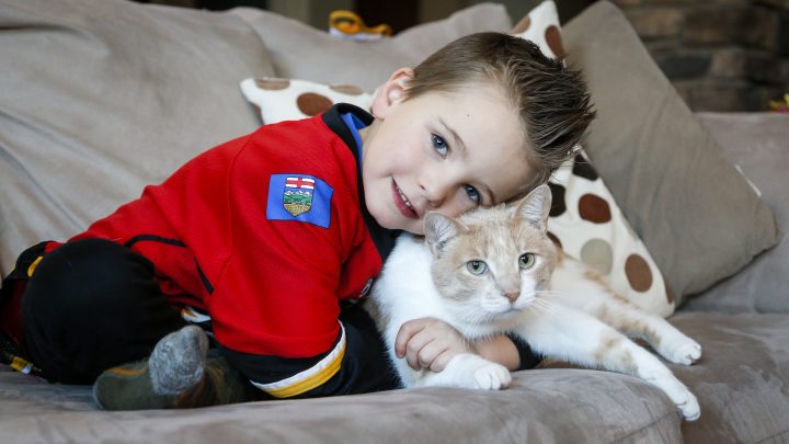 Five-year-old Camden MacQuarrie plays with his cat Ed .