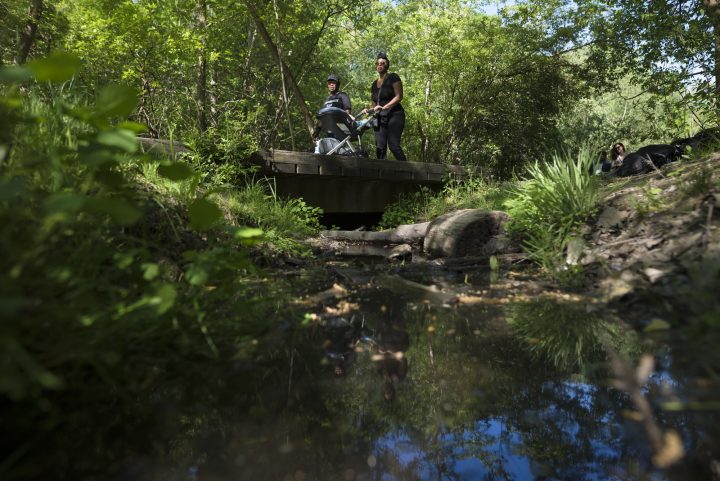 People are reflected in water crossing a footbridge in Cedarvale Ravine in Toronto during the May long weekend on Sunday, May 23, 2021. 