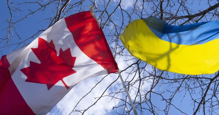 Ukrainian Canadians call on Ottawa to lead campaign to kick Russia out of G20 – National