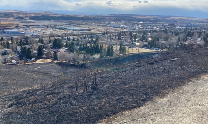 Firefighters were called to a grass fire in east Cochrane on Friday.