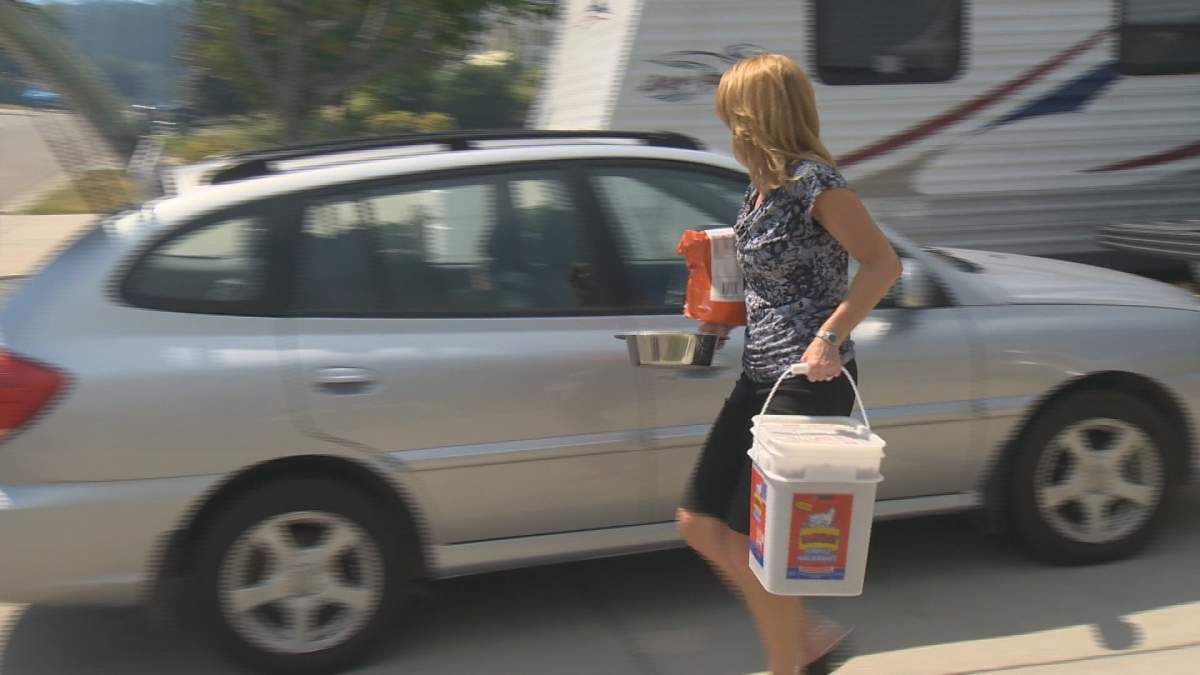 Emergency Preparedness Week is the perfect time to inspect kits and replace any outdated food, prescriptions, water and other items, says the Regional District of the Central Okanagan.