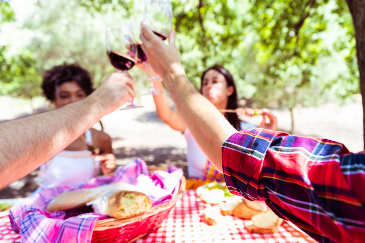 Group of friends toasting with red wine in park in a sunny day - woman drinking red wine - concept friendship and picnic