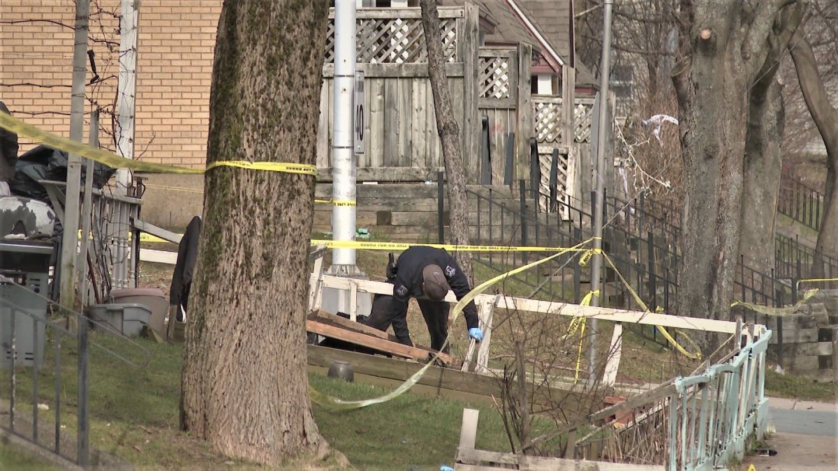 An officer investigates a yard after a homicide on Brunswick Street Saturday morning.