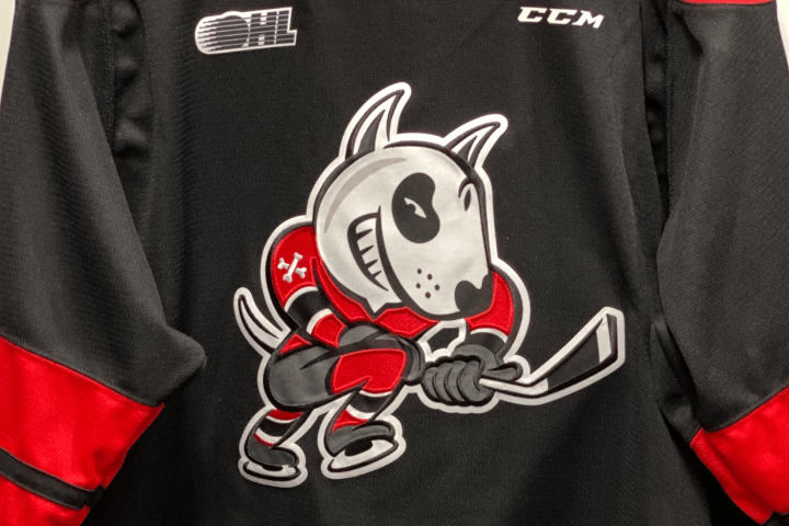 Niagara IceDogs sold to owner of Brantford hockey teams, pending OHL approval