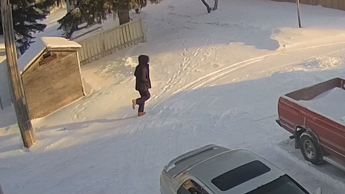 Police are requesting the public's assistance in identifying a person who may have important information about two deaths in a North Battleford house fire on Christmas Eve.