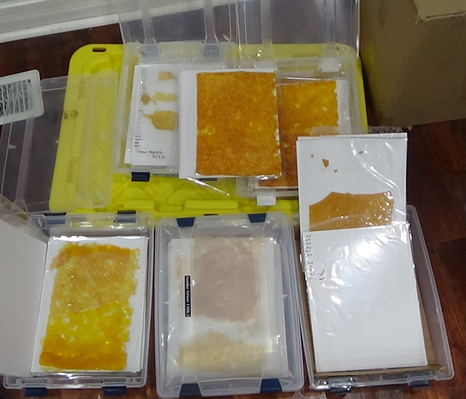 Cannabis shatter seized