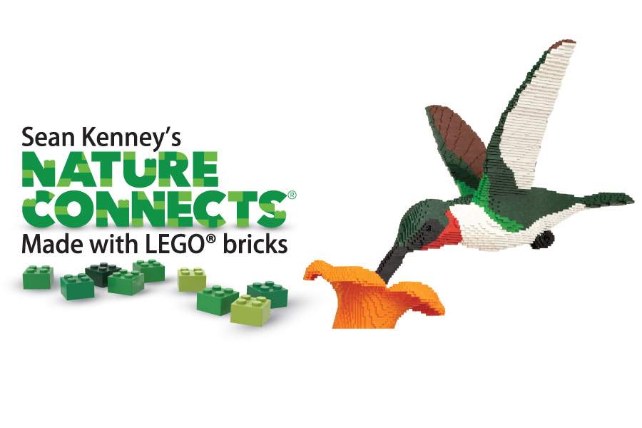 630 CHED supports Sean Kenney’s Nature Connects presented by Canadian Tire - image