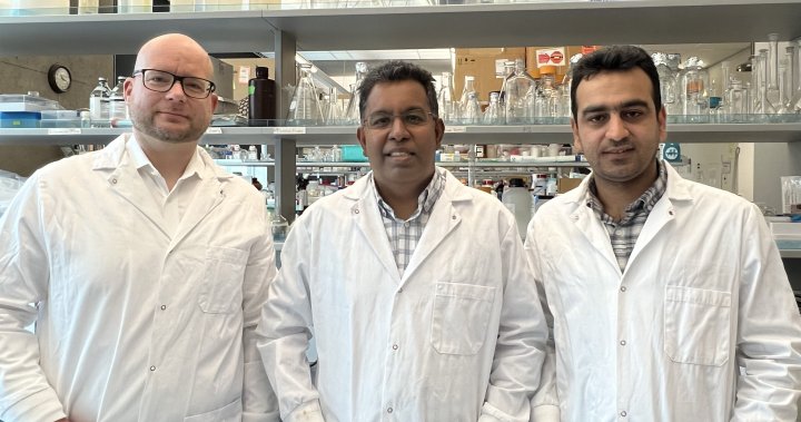 UBC team finds ‘silver bullet’ to keep medical devices free of bacteria