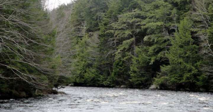 Search launched for Weymouth Falls man missing in Sissiboo River