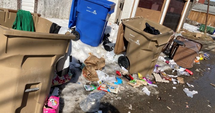Regina neighbourhoods have had enough of excess garbage