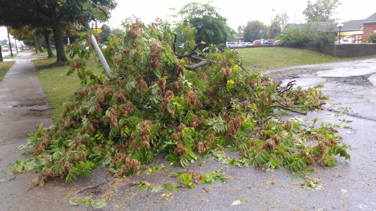 Environment Canada has issued a strong wind warning for the Hamilton area as of the morning of Ap[ril 19, 2022. The wethare agency is alerting residents of potentially downed trees as a result of the conditions expected.