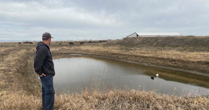 Why a Southern Alberta First Nation turned off the tap to hundreds of area farmers