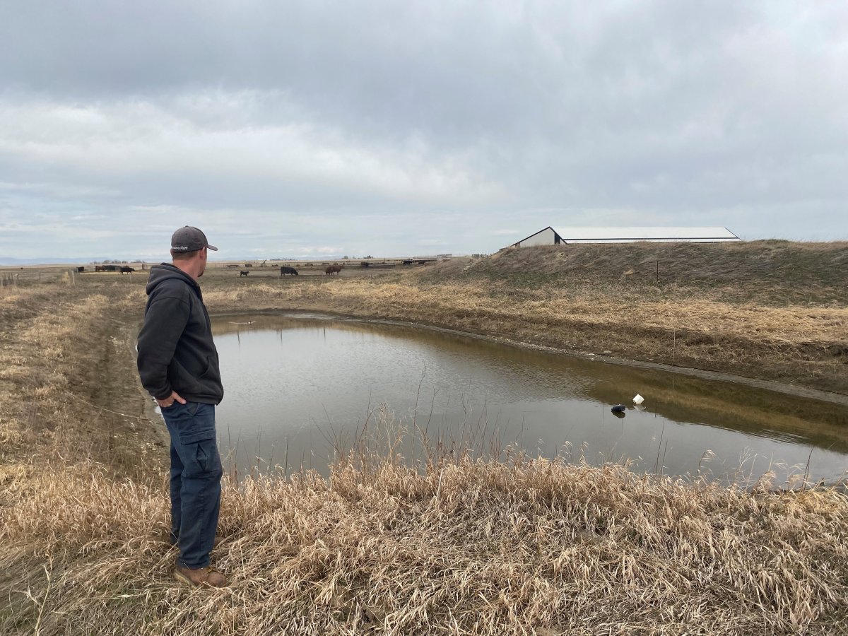 Southern Alberta Cattle Producer Troy Bischler stands beside a nearly dry water dugout on April 26, 2022
