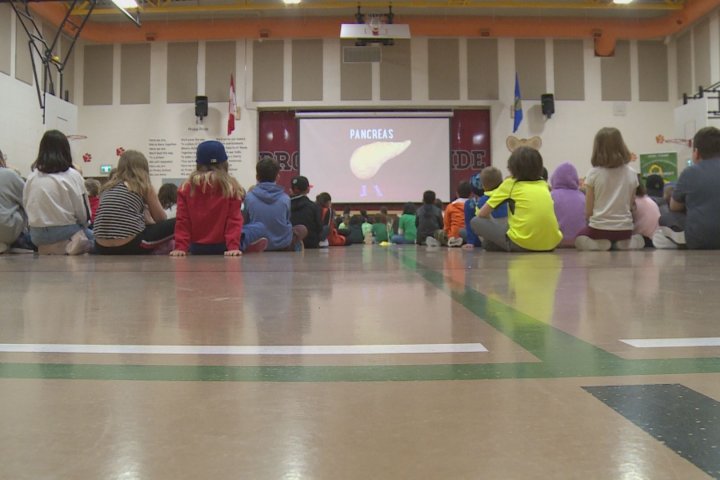 Lethbridge students teach peers about organ donation ahead of Green Shirt Day