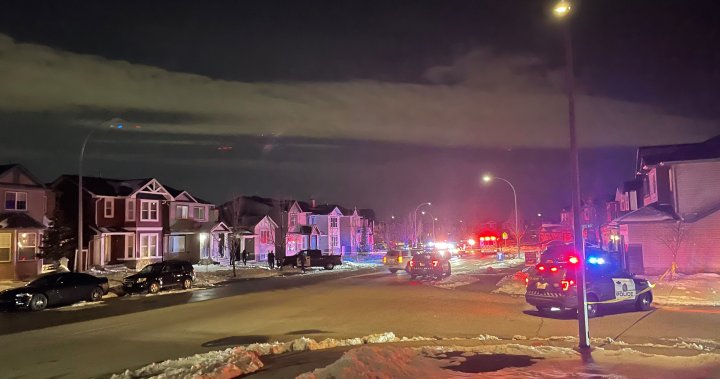 Calgary police investigate shooting in northeast Calgary Wednesday evening