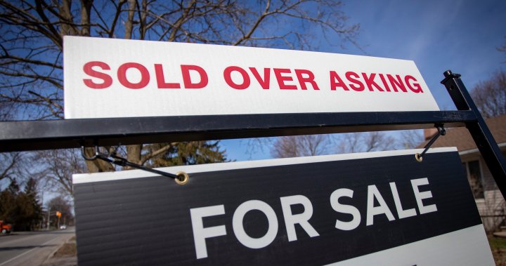 La especulación de los canadienses juega un papel ‘absoluto’ en el aumento de los precios de la vivienda: experto – nacional