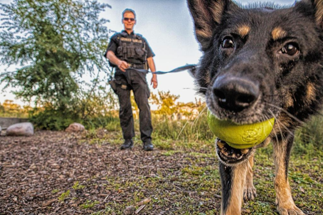 Winnipeg police service dog Nero with Sgt.  Shawn Lowry.