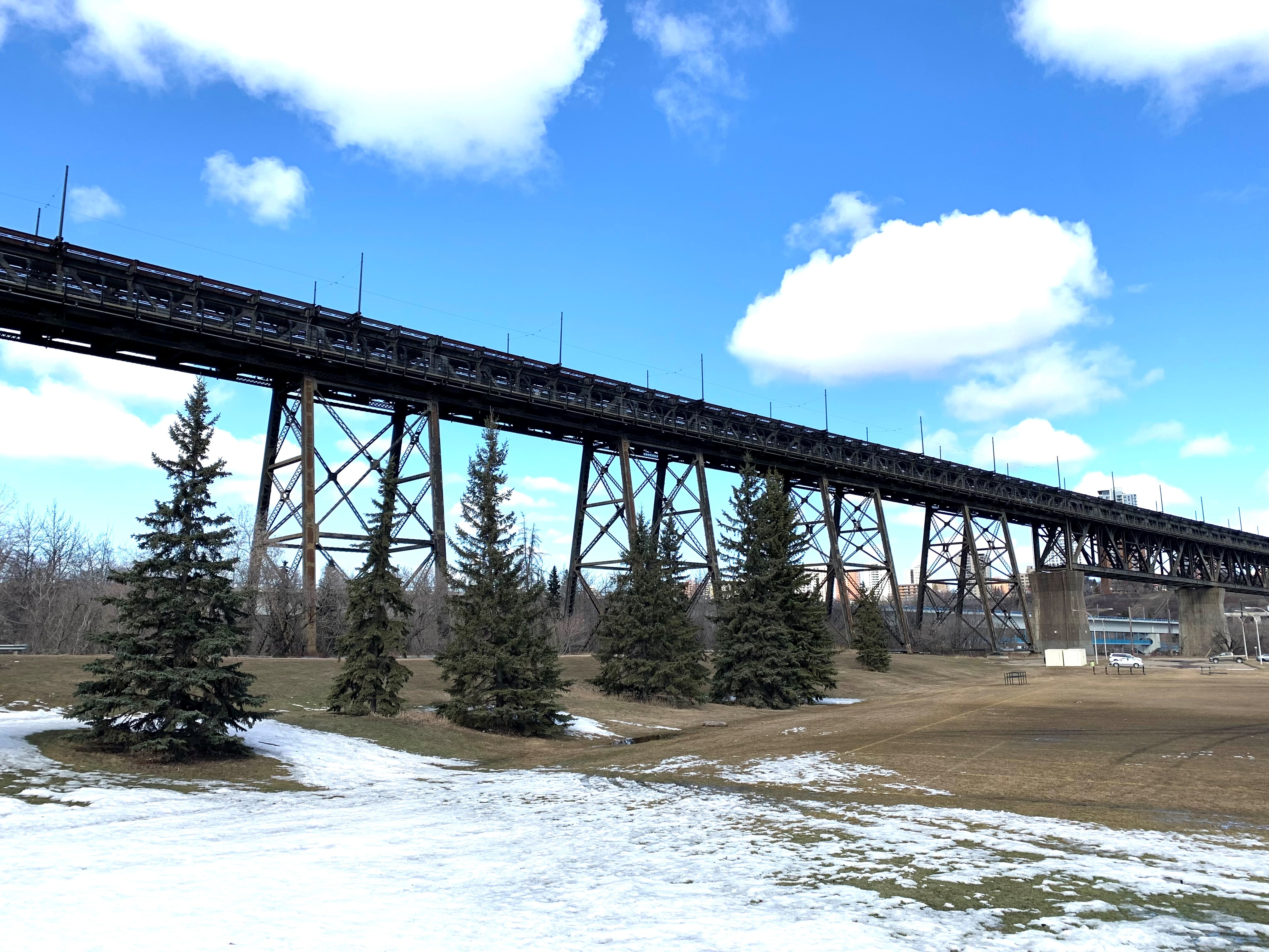 High Level Bridge rehabilitation options range from the bare