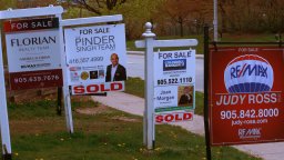 Real estate signs are shown in a row on the edge of a lawn in Canada.