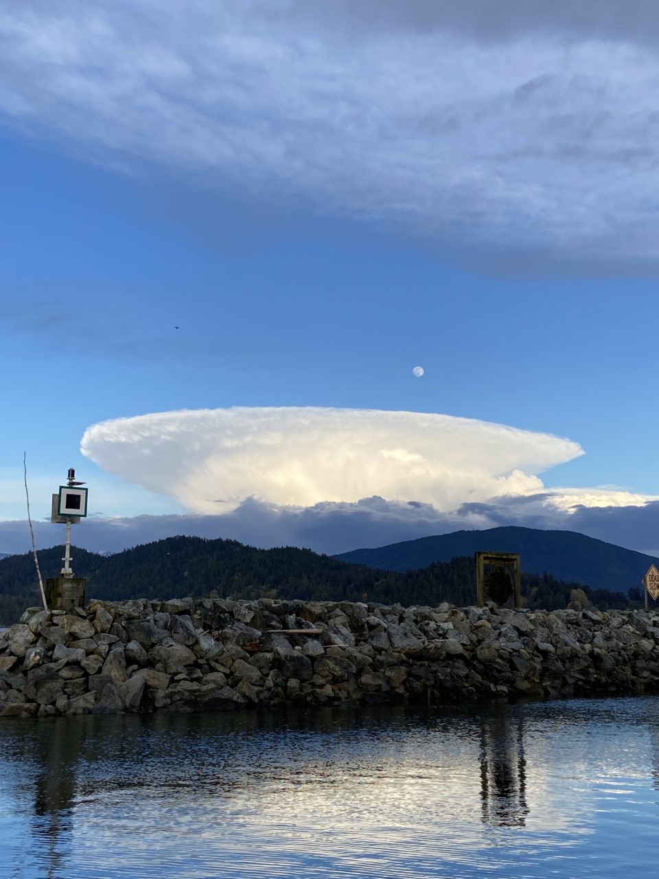 Taken at Gibsons Marina, Sunshine Coast