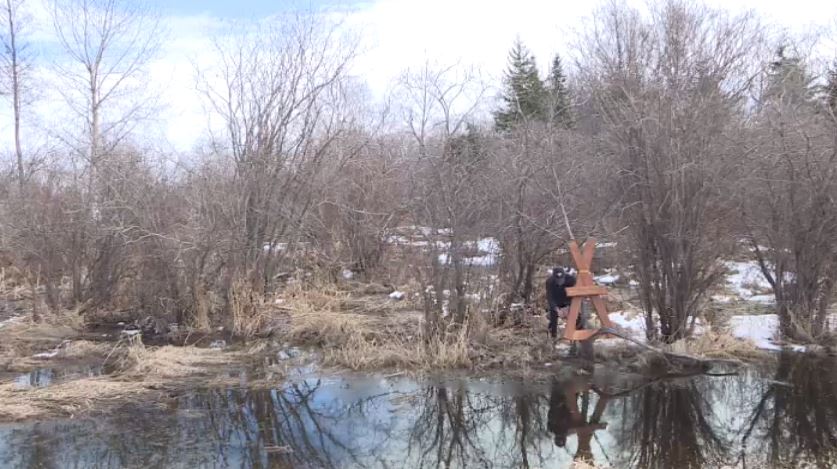 Marker near where Billie Johnson’s remains were discovered.