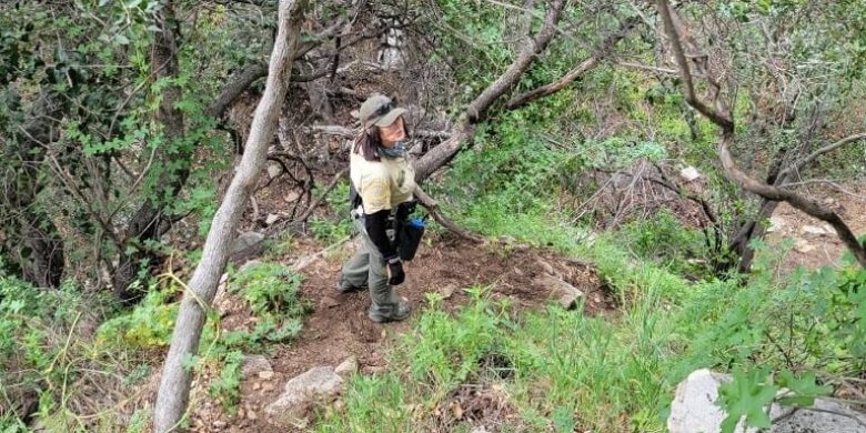 Missing nonverbal teen discovered after rescuers hear clinking rocks