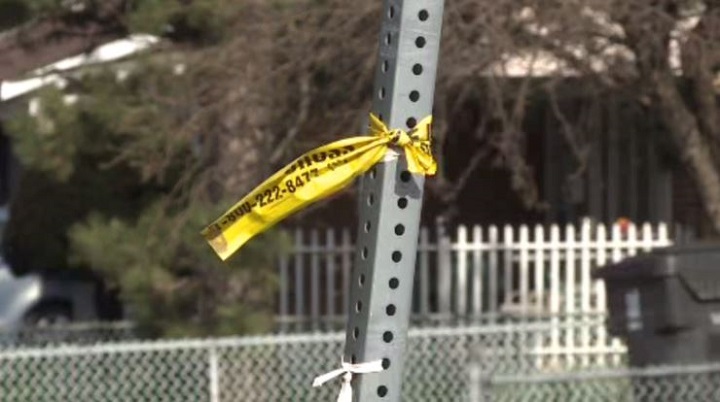Pedestrian injured after being struck by vehicle in Etobicoke - Toronto ...