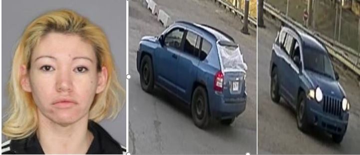 Saskatoon Police Still Looking For Suspect In May 2021 Hit-and-run That ...