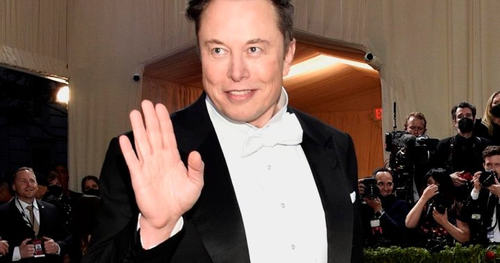 Elon Musk looking to scrub Tesla margin loan with new Twitter funding: report