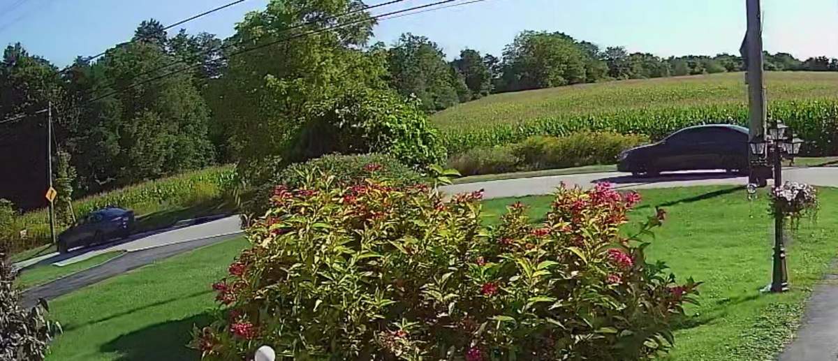 The two suspect vehicles police believe were involved in the murder of Lynda Marques in September 2021.