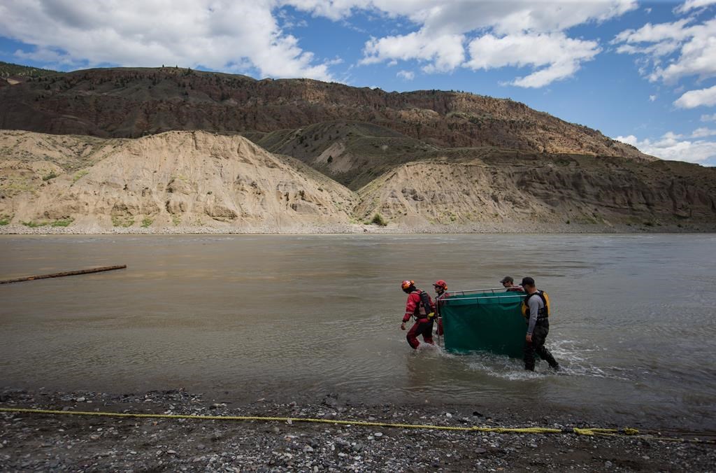 Fisheries and Oceans Canada officials and members of the B.C. Wildfire Service move salmon in a temporary holding pen on the Fraser River before being transported with a helicopter past a massive rock slide, near Big Bar, west of Clinton, B.C., on Wednesday July 24, 2019.