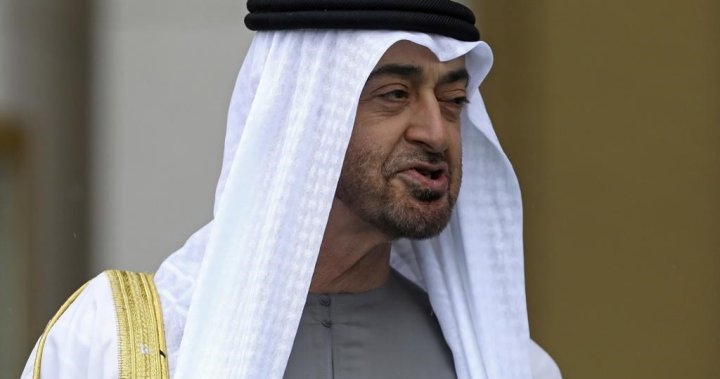 Sheikh Mohammed bin Zayed appointed UAE’s president after half-brother’s death