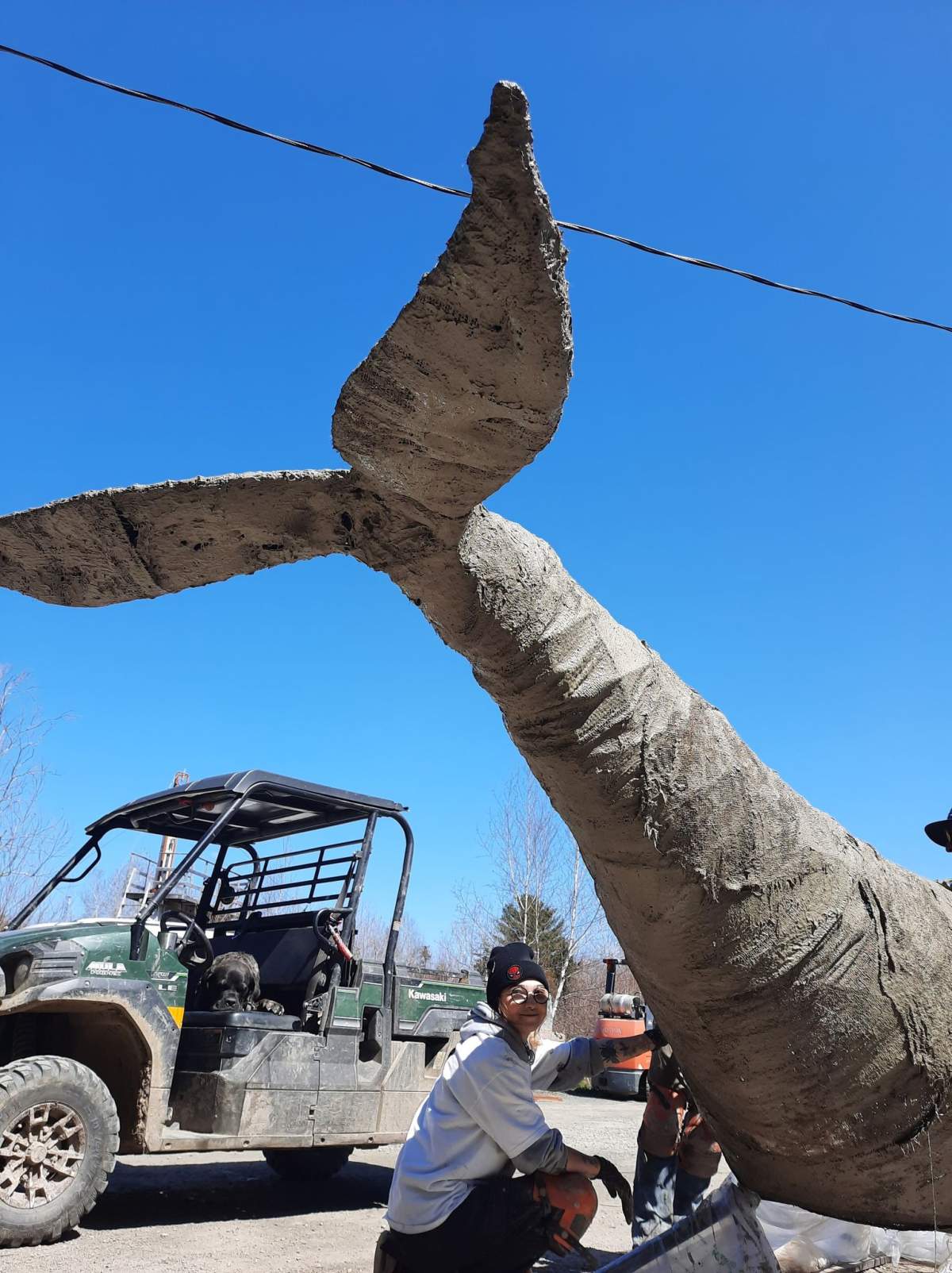 The endangered North Atlantic right whale is being brought to life in the form of a large, 20-foot "fillable" sculpture. 