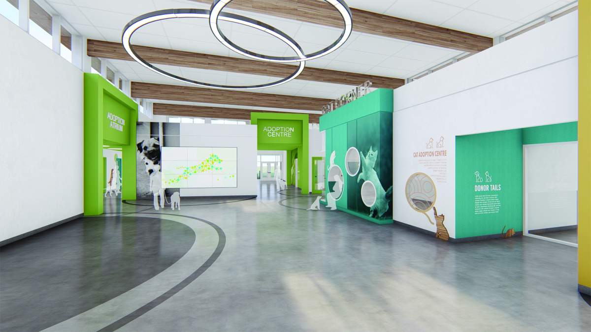 Inside new animal community centre coming up in Regina