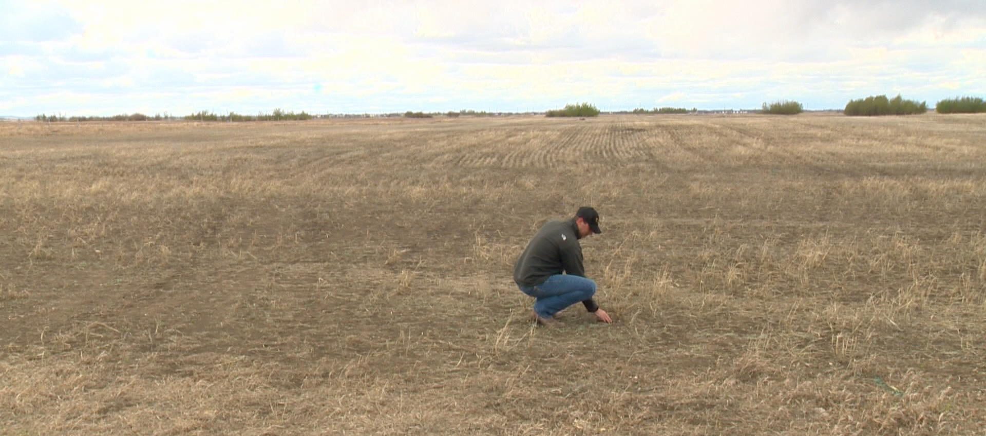 Saskatchewan farmers, producers breaking stigma on mental well-being