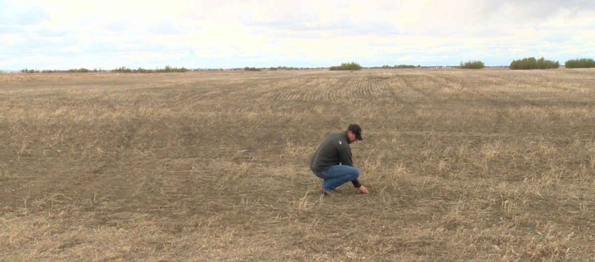 Saskatchewan farmers continue to fall behind during the seeding season the pressure to get things done is increasing and so is the cost to do business. It's the highest it's ever been. 