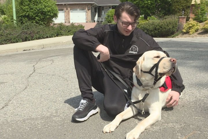 Autism Assistance Dog life-changing for Kelowna boy