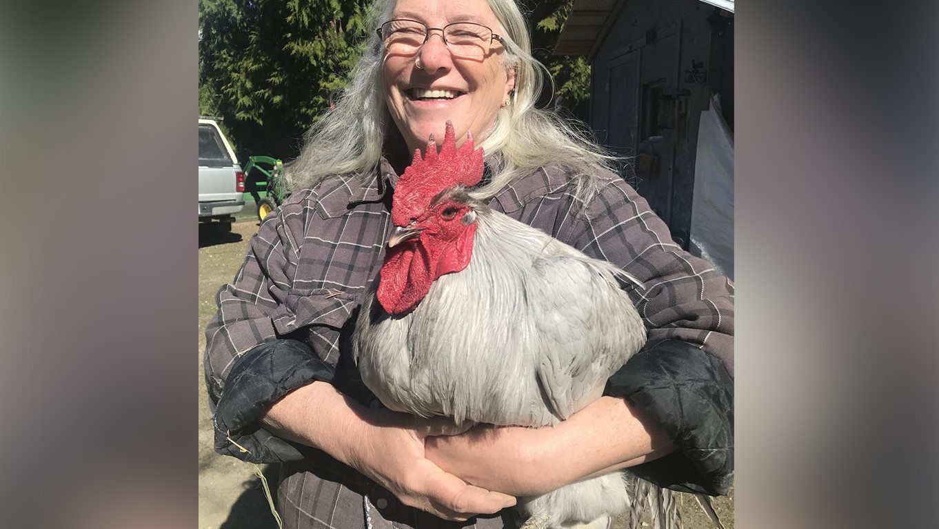 Deadly avian flu wipes out poultry flock at farm in Burton B.C