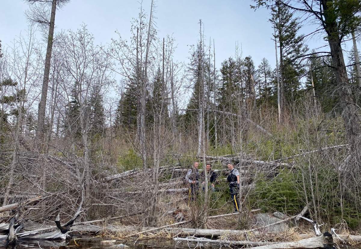 COSAR was called to a rescue near Chute Lake lodge.