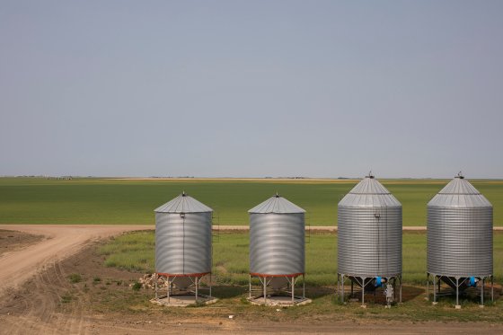 Farm yard grain bins