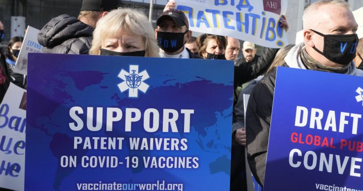 Canada must focus on global vaccine access to curb COVID-19, expert warns MPs
