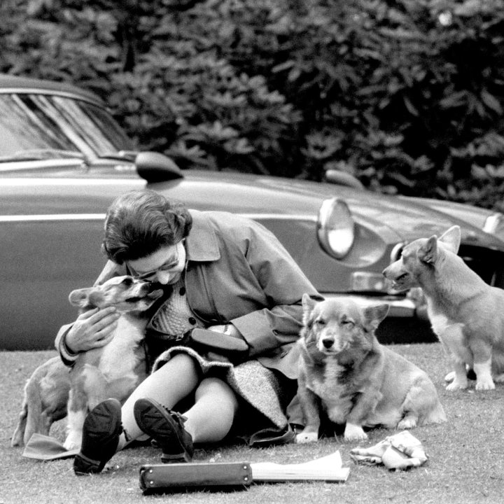 File photo dated 12/05/73 of Queen Elizabeth II sitting with her corgis, at Virginia Water to watch competitors, including Prince Philip in the Marathon of the European Driving Championship, part of the Royal Windsor Horse Show.