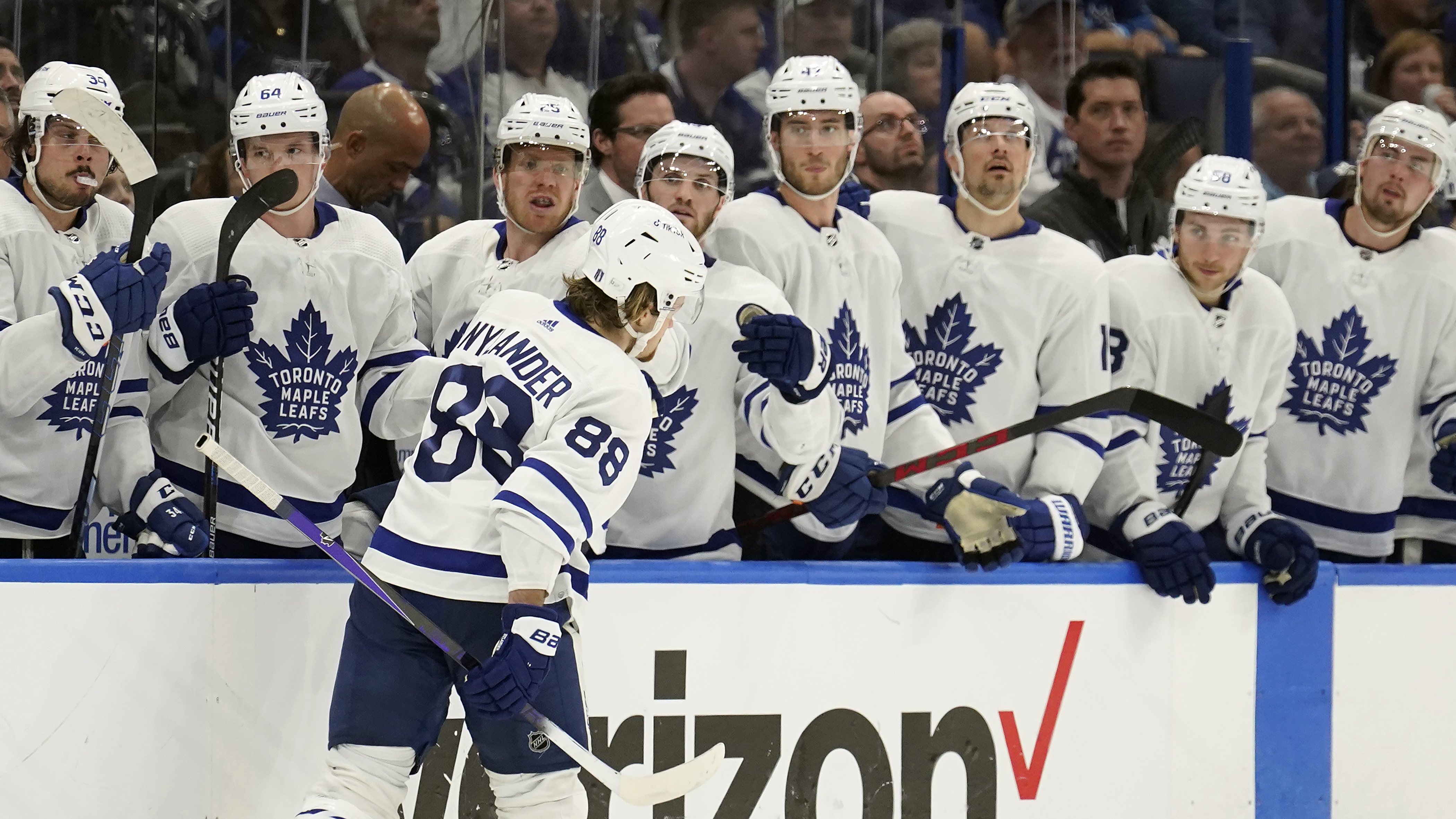 The Toronto Maple Leafs showed off their killer costumes this